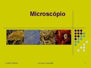 Microscpio CLUBE DE CINCIAS Prof Teresa Condeixa 0809