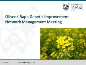 Oilseed Rape Genetic Improvement Network Management Meeting OREGIN