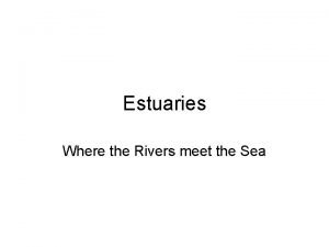 Types of estuaries