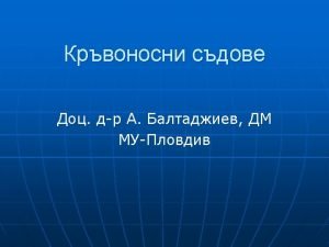 артерии на долен крайник