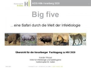 AIDSHilfe Vorarlberg 2020 Big five eine Safari durch