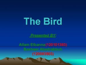 The Bird Presented BY Allam Elbanna120101383 Basheer Abedrabbuh