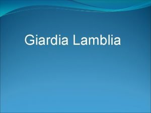 Giardia Lamblia Giardia lamblia is a flagellated protozoan
