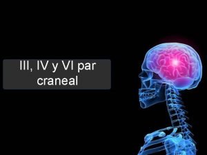 3 par craneal