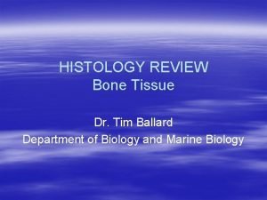 HISTOLOGY REVIEW Bone Tissue Dr Tim Ballard Department