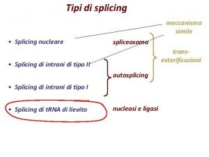 Tipi di splicing meccanismo simile Splicing nucleare spliceosoma