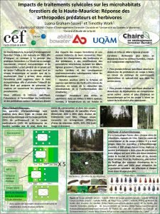 Impacts de traitements sylvicoles sur les microhabitats forestiers