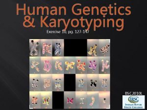 Human Genetics Karyotyping Exercise 10 pg 127 147