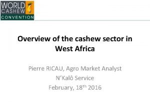 Overview of the cashew sector in West Africa