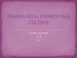 NSANLARDA EMBRYONK GELME TUBA NUR EKE 10 B