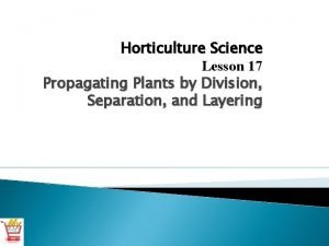 Horticulture Science Lesson 17 Propagating Plants by Division