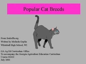 Popular Cat Breeds From foukeffa org Written by
