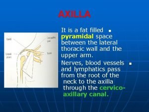 AXILLA It is a fat filled n pyramidal