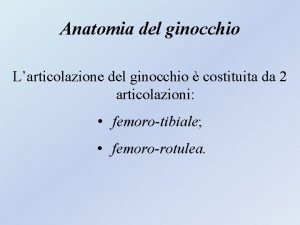 Anatomia del ginocchio Larticolazione del ginocchio costituita da