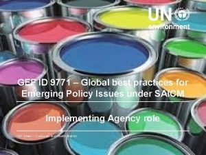 GEF ID 9771 Global best practices for Emerging