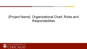 Project roles and responsibilities chart