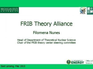 FRIB Theory Alliance Filomena Nunes Head of Department