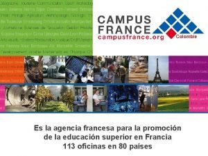 Colombie Es la agencia francesa para la promocin