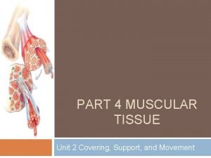 What tissue has striations