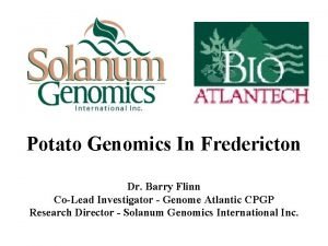 Potato Genomics In Fredericton Dr Barry Flinn CoLead