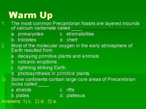 1 Warm Up The most common Precambrian fossils