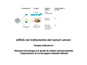 si RNA nel trattamento dei tumori umani Terapia