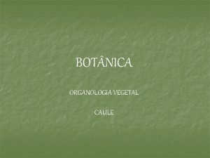 BOT NICA ORGANOLOGIA VEGETAL CAULE ORGANOLOGIA VEGETAL Estudo