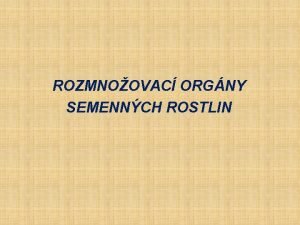 ROZMNOOVAC ORGNY SEMENNCH ROSTLIN Kvt soubor pemnnch list