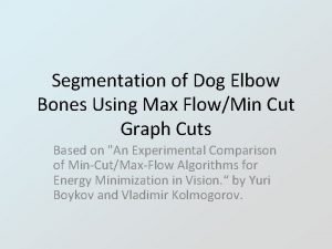 Segmentation of Dog Elbow Bones Using Max FlowMin