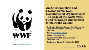 Arctic Cooperation and Environmental Non Governmental Organizations The