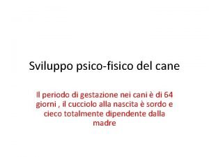 Periodi sensibili cane Periodi sensibili cane
