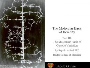 Molecular basis of heredity