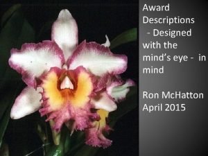 Award Descriptions Designed with the minds eye in