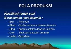 POLA PRODUKSI Klasifikasi ternak sapi Berdasarkan jenis kelamin