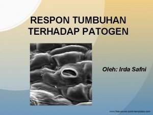 RESPON TUMBUHAN TERHADAP PATOGEN Oleh Irda Safni 1