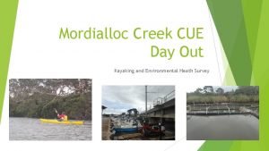 Mordialloc Creek CUE Day Out Kayaking and Environmental
