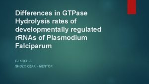 Differences in GTPase Hydrolysis rates of developmentally regulated