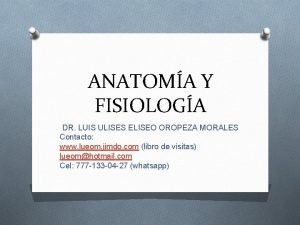 ANATOMA Y FISIOLOGA DR LUIS ULISES ELISEO OROPEZA