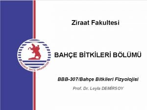 Ziraat Fakultesi BAHE BTKLER BLM BBB307Bahe Bitkileri Fizyolojisi