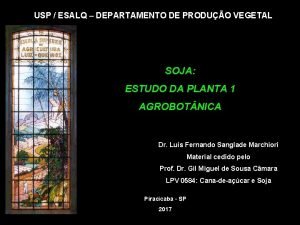 USP ESALQ DEPARTAMENTO DE PRODUO VEGETAL SOJA ESTUDO