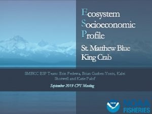 Ecosystem Socioeconomic Profile St Matthew Blue King Crab