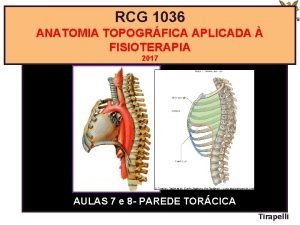 RCG 1036 ANATOMIA TOPOGRFICA APLICADA FISIOTERAPIA 2017 AULAS