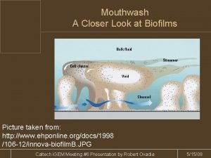 Mouthwash A Closer Look at Biofilms Picture taken