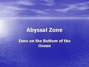 Abyssal zone