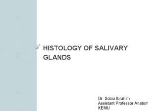 HISTOLOGY OF SALIVARY GLANDS Dr Sobia Ibrahim Assistant