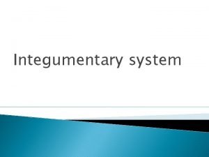 Integumentary system Objectives Introduction of the Integumentary system