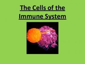 The Cells of the Immune System The Phagocytes