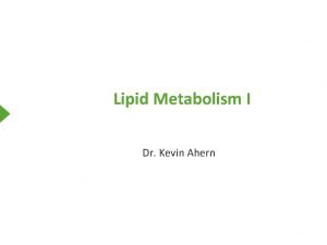 Lipid Metabolism I Dr Kevin Ahern 1 2