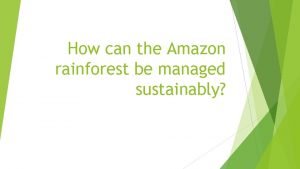 How can the Amazon rainforest be managed sustainably