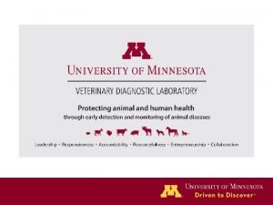 University of mn veterinary diagnostic lab